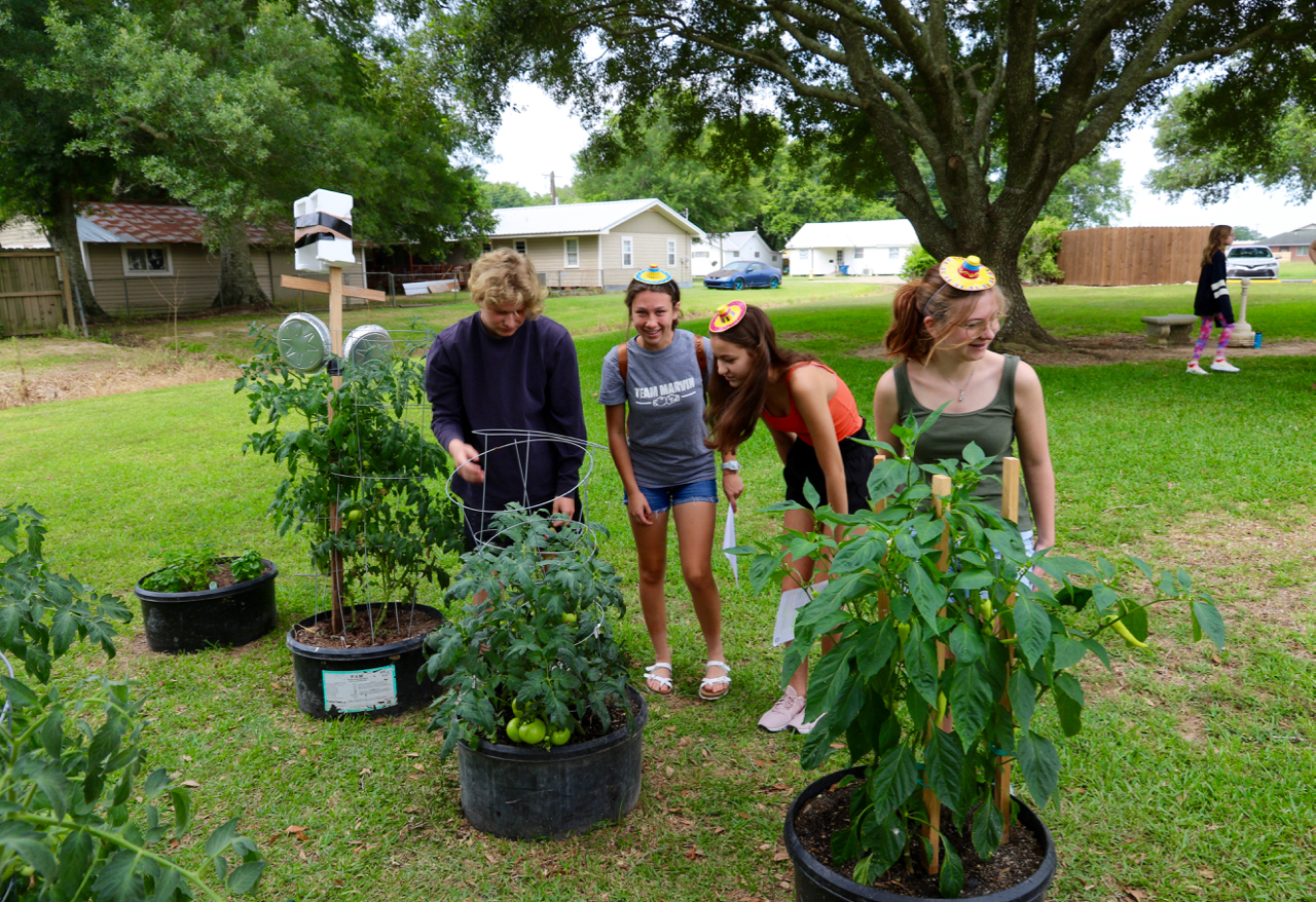Gardening project brings 4H leaders, residents together at Westminster