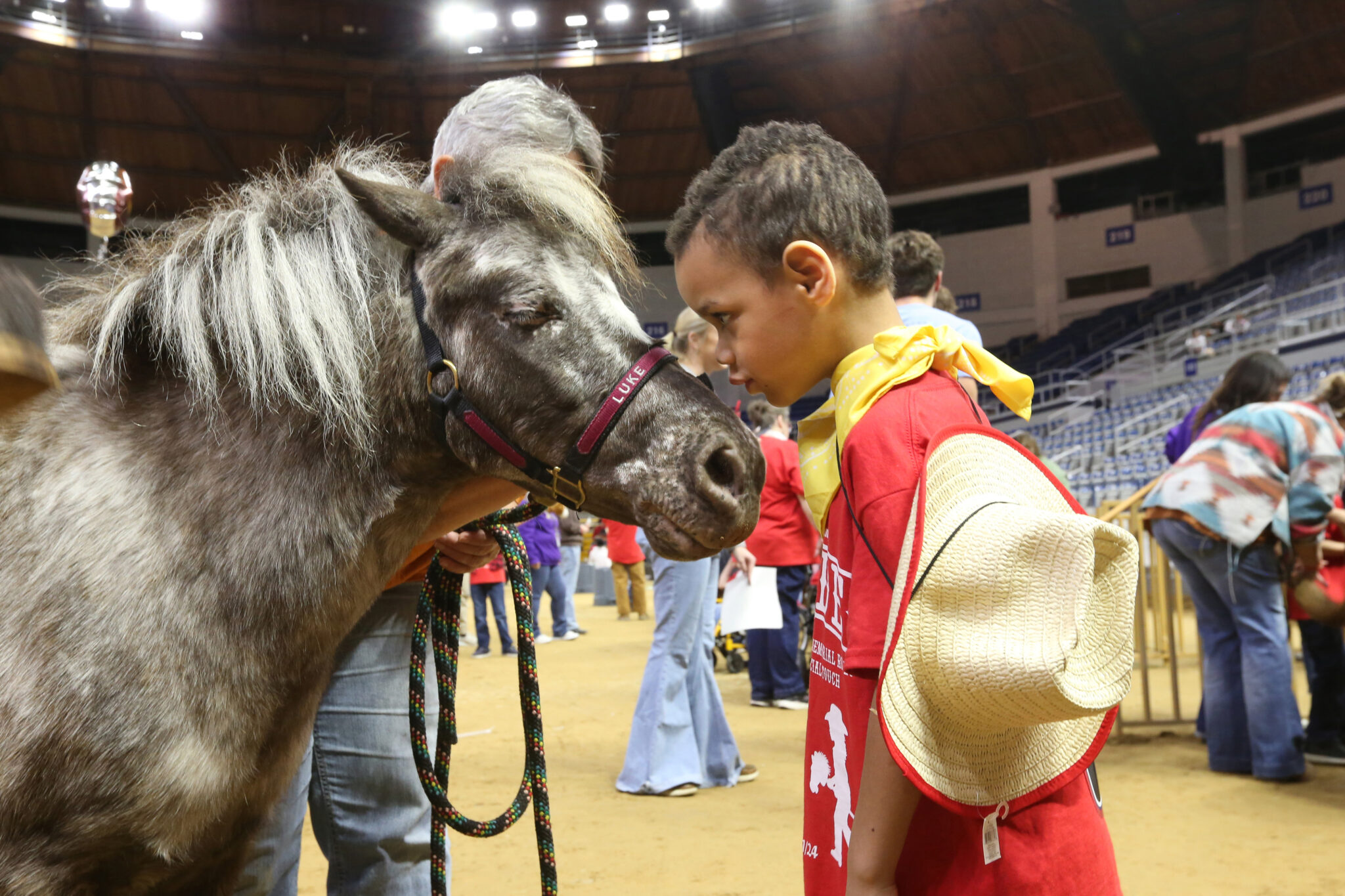 Brodeo: Special needs children to get their own day of rodeo fun ...